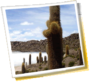 Giro panoramico della città - Bolivia, tempo, telefono cellulare il codice, galleria fotografica