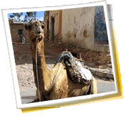 Giro panoramico della città - Eritrea, tempo, telefono cellulare il codice, galleria fotografica