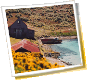 Giro panoramico della città - Falkland, Isole (Isole Malvinas), tempo, telefono cellulare il codice, galleria fotografica