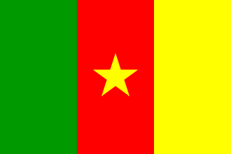 Bandiera nazionale, Camerun