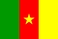 Bandiera nazionale, Camerun