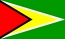 Bandiera nazionale, Guyana
