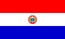 Bandiera nazionale, Paraguay